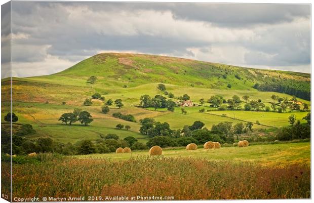 North York Moors Summer Landscape Canvas Print by Martyn Arnold