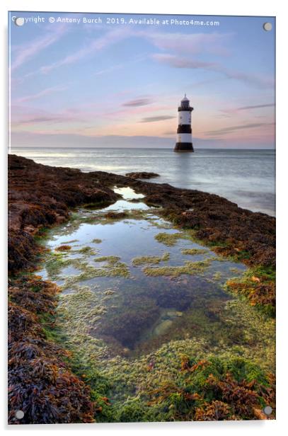 Penmon Point Rock pool Acrylic by Antony Burch