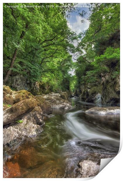 Fairy Glen, Snowdonia, N Wales, UK Print by Antony Burch