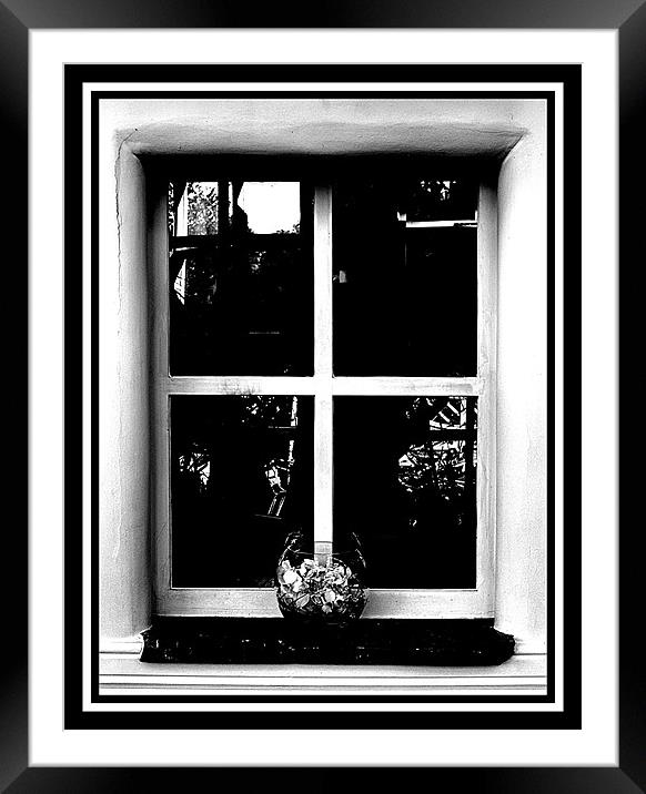 vase and frames Framed Mounted Print by Craig Coleran