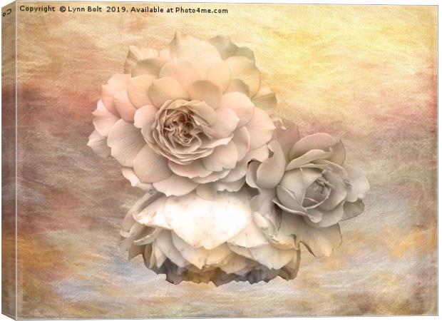 Roses Canvas Print by Lynn Bolt