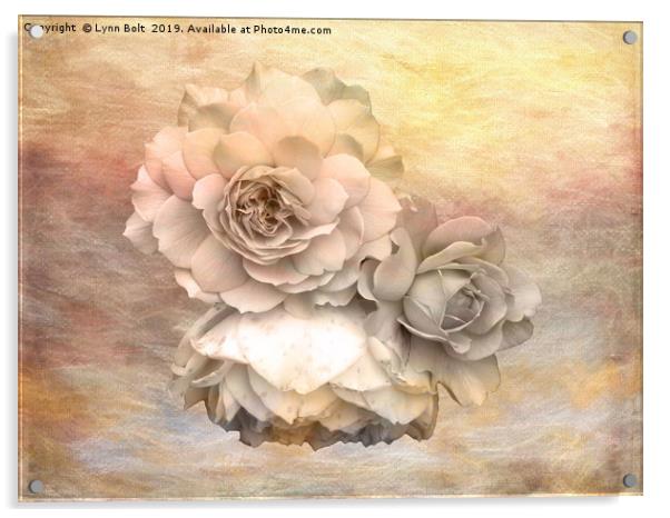 Roses Acrylic by Lynn Bolt