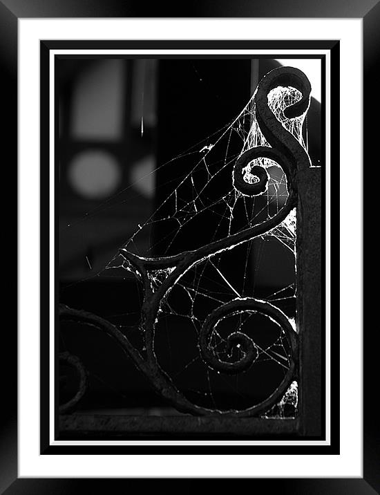 spirals and cobwebs Framed Mounted Print by Craig Coleran