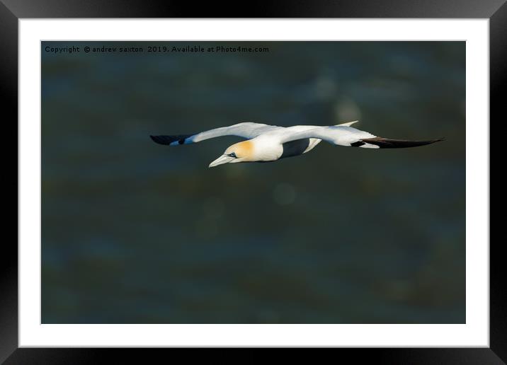 FLYING LIGHT Framed Mounted Print by andrew saxton
