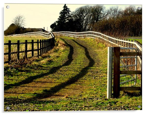 Fence Acrylic by Nigel G Owen