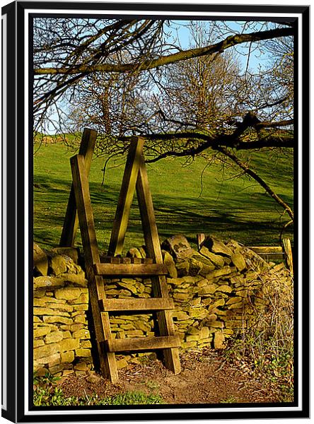 stile over the wall Canvas Print by Craig Coleran