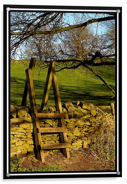 stile over the wall Acrylic by Craig Coleran