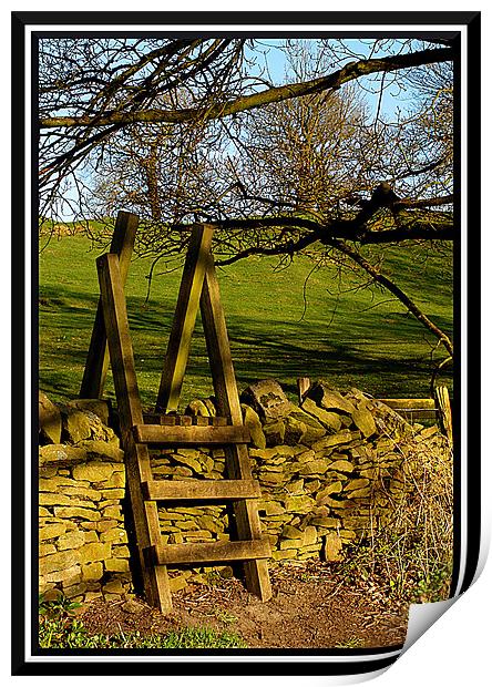 stile over the wall Print by Craig Coleran