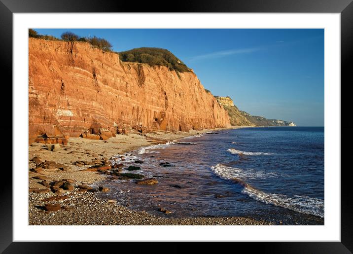 Salcombe Hill & Sidmouth Coastline                 Framed Mounted Print by Darren Galpin