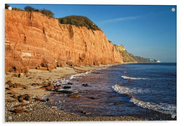 Salcombe Hill & Sidmouth Coastline                 Acrylic by Darren Galpin
