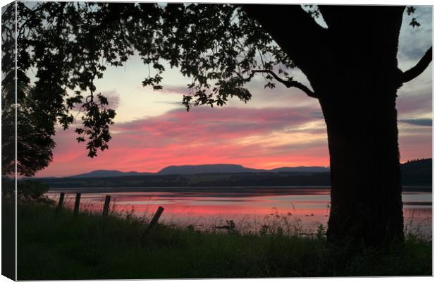Beauly Firth Sunset Canvas Print by Macrae Images