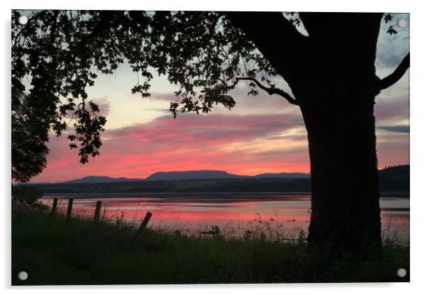 Beauly Firth Sunset Acrylic by Macrae Images