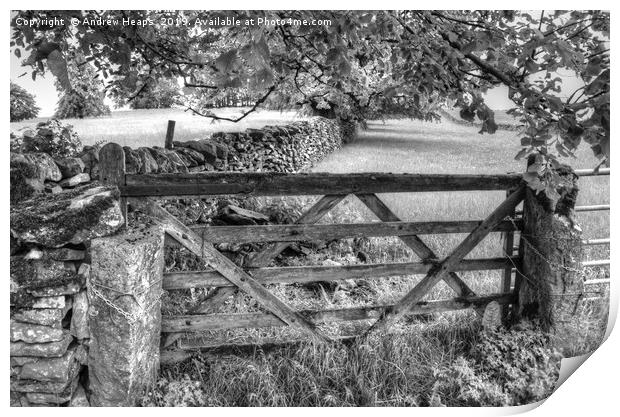 Farmers wooden gate. Print by Andrew Heaps