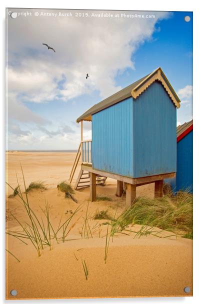 Beach Huts and Birds Acrylic by Antony Burch