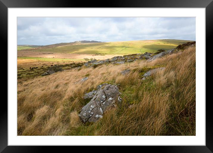 Moorland Splendour Framed Mounted Print by CHRIS BARNARD