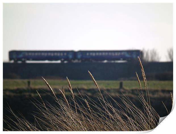 Train heading towards Hartlepool Print by Callum Craddy