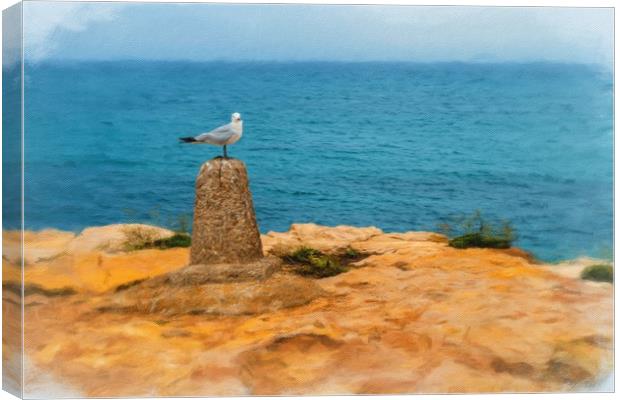 Digital painting of Seagull on Perch Canvas Print by Stuart Atton