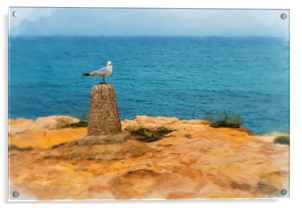 Digital painting of Seagull on Perch Acrylic by Stuart Atton