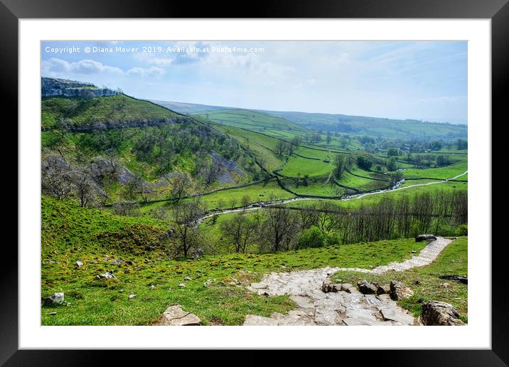 Malham Cove Steps Framed Mounted Print by Diana Mower