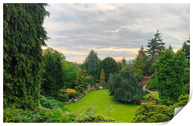 A beautiful view of Queen Elizabeth Park, Print by Ali asghar Mazinanian