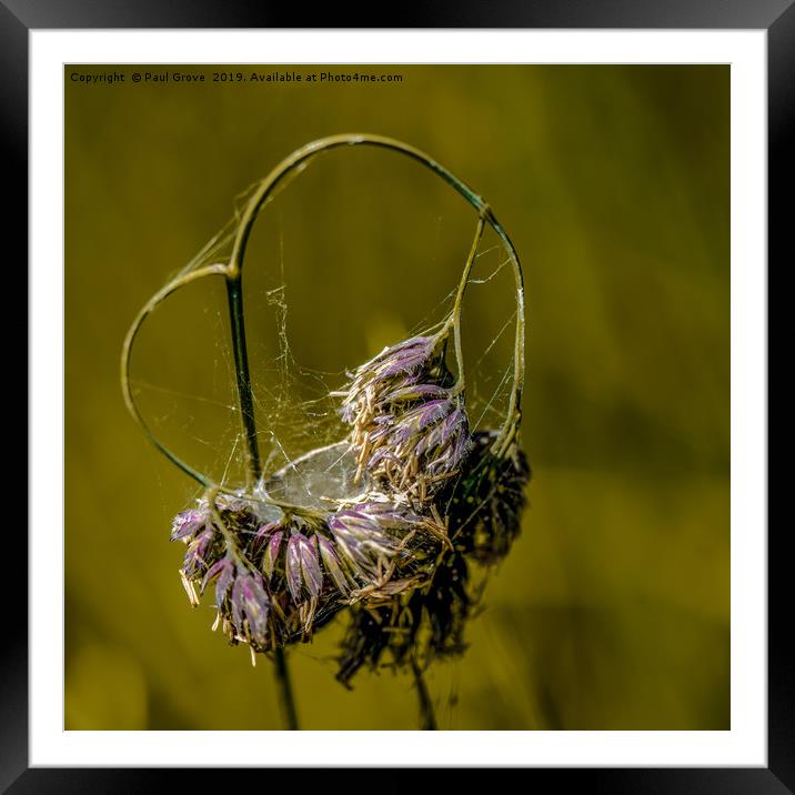 Heart of Grass Framed Mounted Print by Paul Grove
