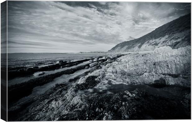 Rock Pools at Bucks Mills monochrome version Canvas Print by graham young
