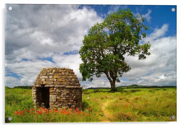 Stone Hut & Tree, Baslow, Derbyshire               Acrylic by Darren Galpin