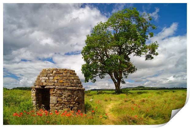 Stone Hut & Tree, Baslow, Derbyshire               Print by Darren Galpin
