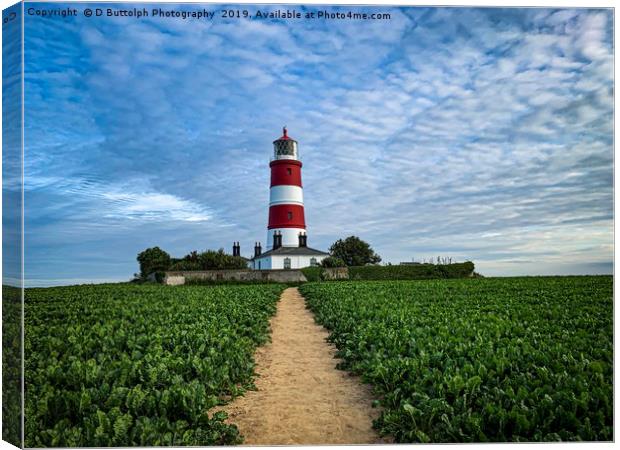 Happisburgh lighthouse Norfolk  Canvas Print by D Buttolph Photography
