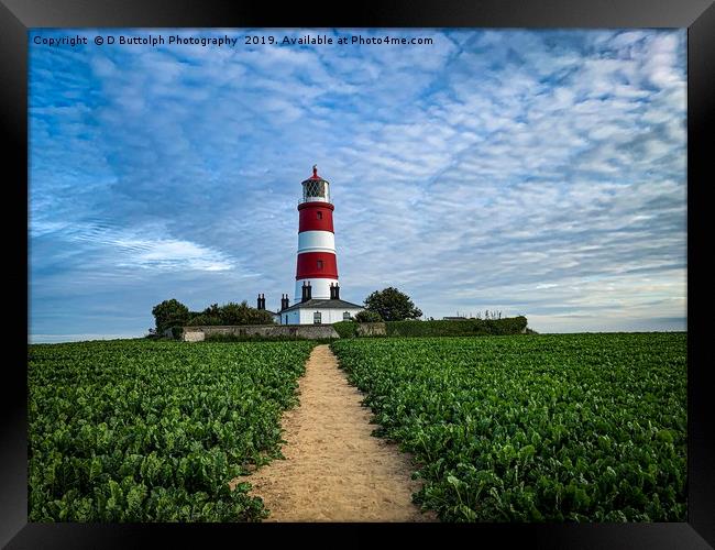 Happisburgh lighthouse Norfolk  Framed Print by D Buttolph Photography
