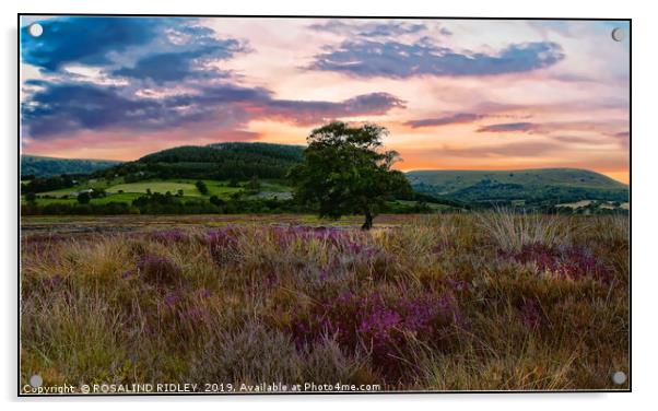 "Setting sun North York Moors" Acrylic by ROS RIDLEY