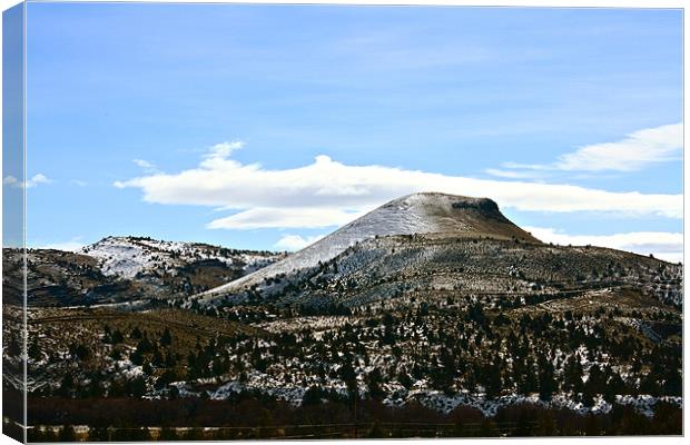 Hill Top with Frosting Canvas Print by Irina Walker
