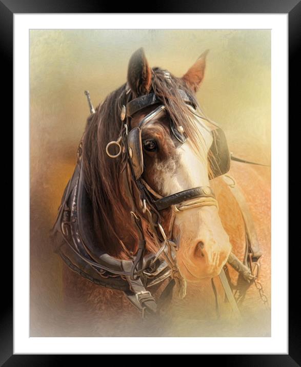 Days In The Sun Framed Mounted Print by Trudi Simmonds