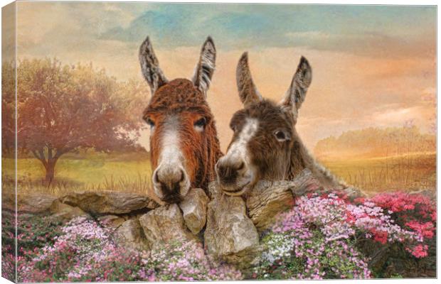 Donkey Duo Canvas Print by Trudi Simmonds