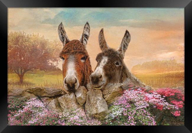 Donkey Duo Framed Print by Trudi Simmonds