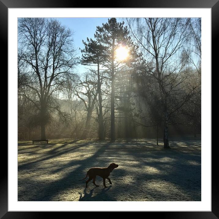 Frosty morning  Framed Mounted Print by suzie Attaway