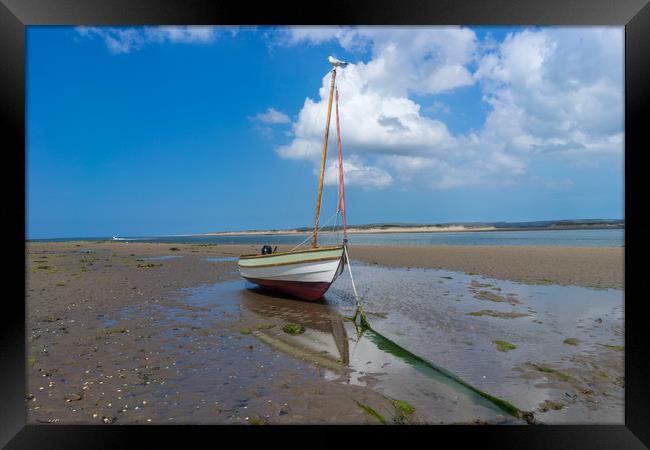 Boat moored on Appledore beach in North Devon Framed Print by Tony Twyman