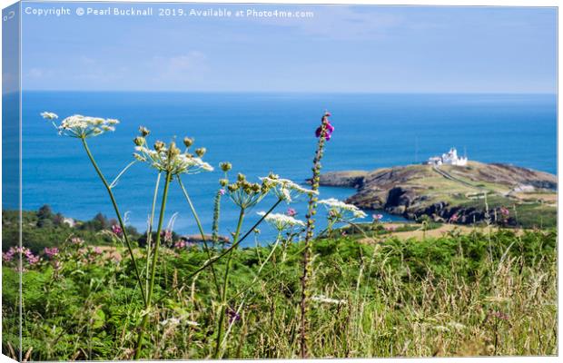 Summer view to Point Lynas Anglesey Canvas Print by Pearl Bucknall
