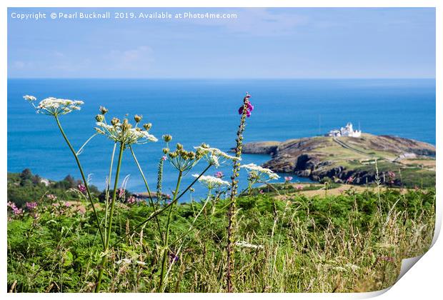 Summer view to Point Lynas Anglesey Print by Pearl Bucknall