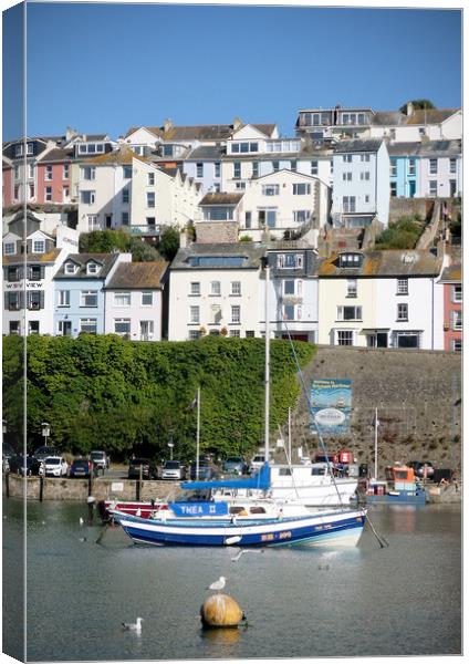 A Sunny Day in Brixham Canvas Print by graham young