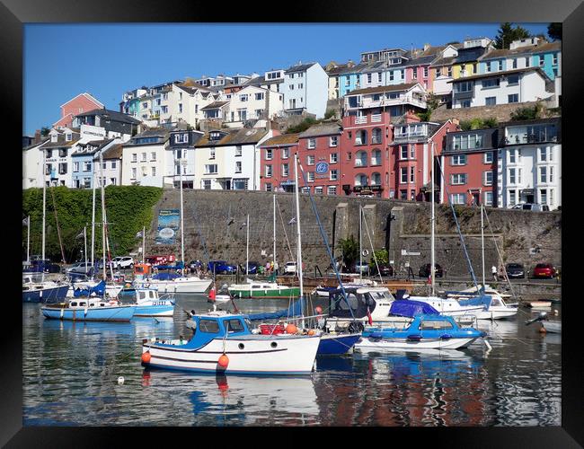 Brixham Harbour Framed Print by graham young