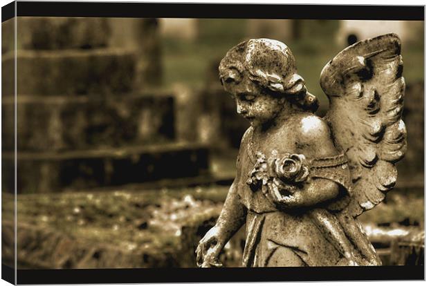 Guardian Angel Canvas Print by Chris Manfield