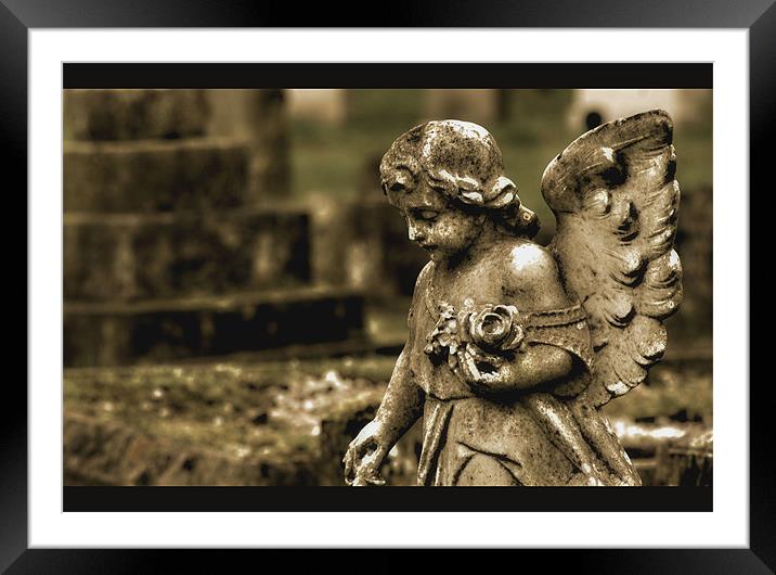 Guardian Angel Framed Mounted Print by Chris Manfield