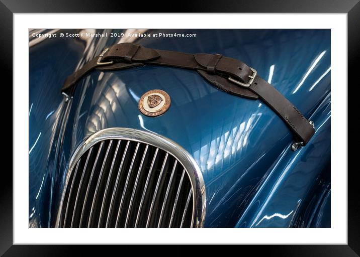 Jaguar Buckle Framed Mounted Print by Scott K Marshall