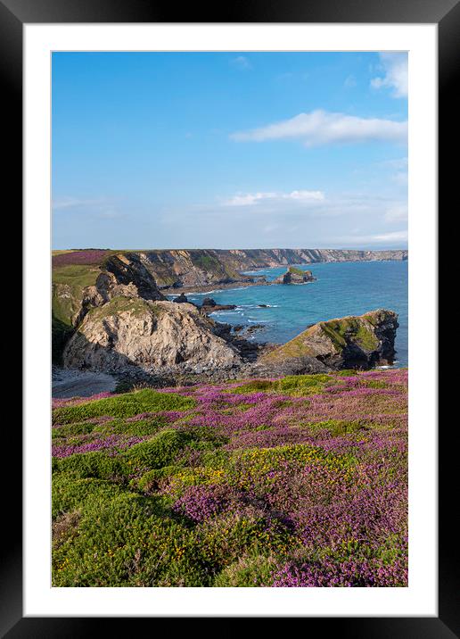 North Cliffs -Reskajeage Downs, Cornish North Coas Framed Mounted Print by Malcolm McHugh