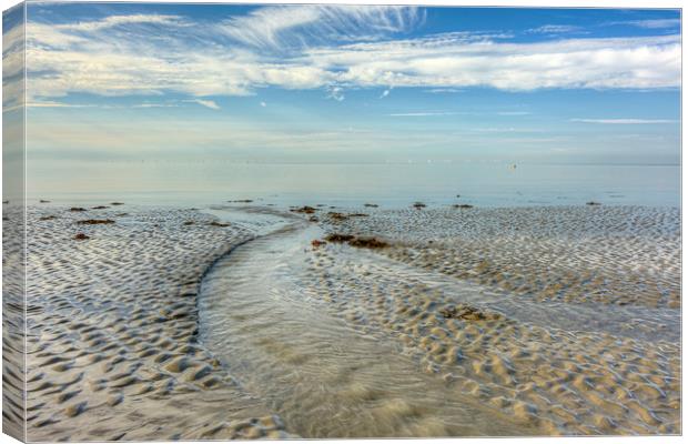 Flowing out to sea Canvas Print by Malcolm McHugh