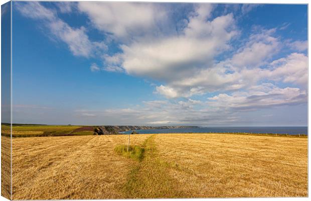 Coastal Path on the Downs Canvas Print by Malcolm McHugh