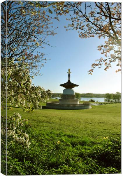 The Peace Pagoda at Willen Canvas Print by graham young