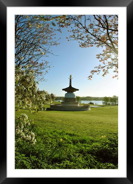 The Peace Pagoda at Willen Framed Mounted Print by graham young