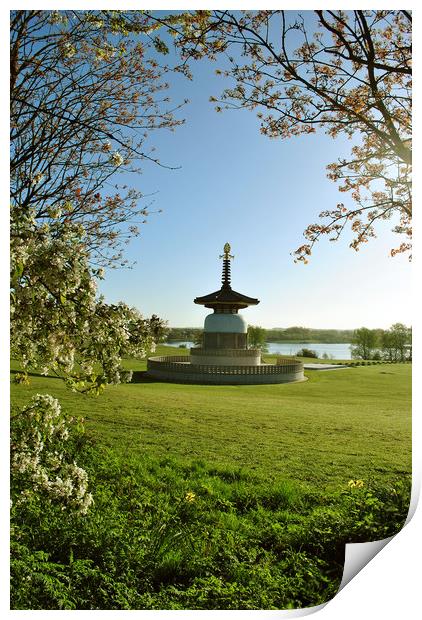 The Peace Pagoda at Willen Print by graham young